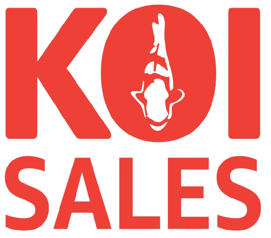 KOI SALES